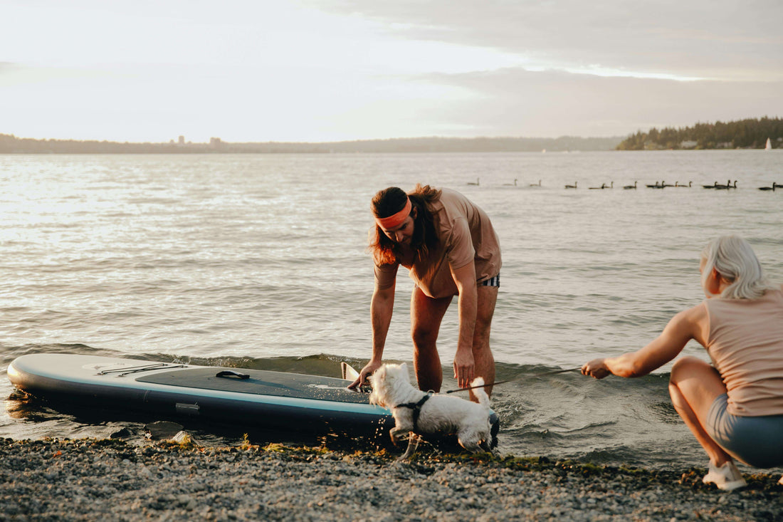 Kajak oder SUP – was ist einfacher für Anfänger?